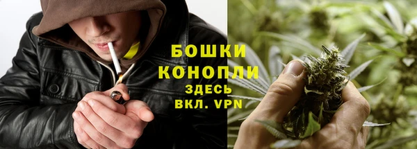 гашик Липки