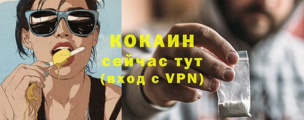 гашик Липки