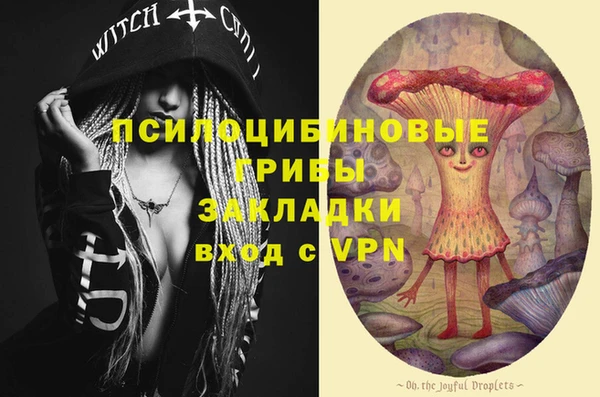 гашик Липки
