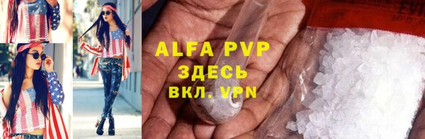 гашик Липки