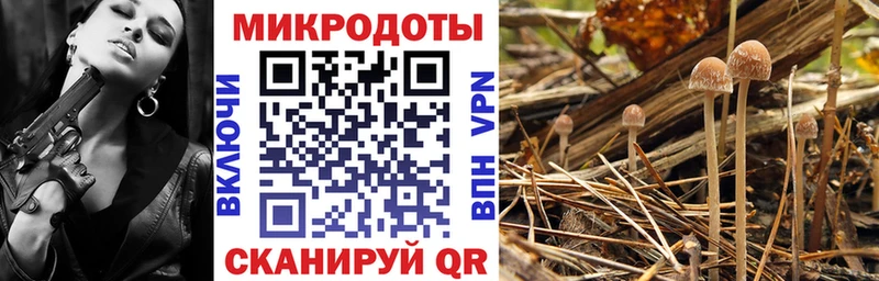 Псилоцибиновые грибы GOLDEN TEACHER  купить  сайты  Мелеуз 